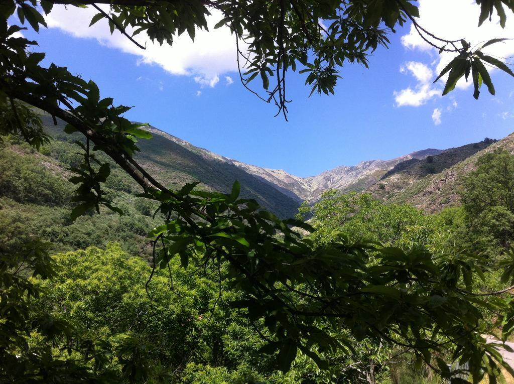 Casa Rural Sierra De Tormantos Guijo de Santa Bárbara Eksteriør bilde