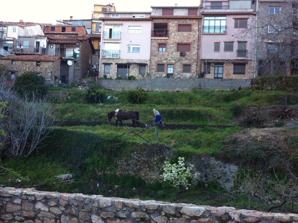 Casa Rural Sierra De Tormantos Guijo de Santa Bárbara Eksteriør bilde